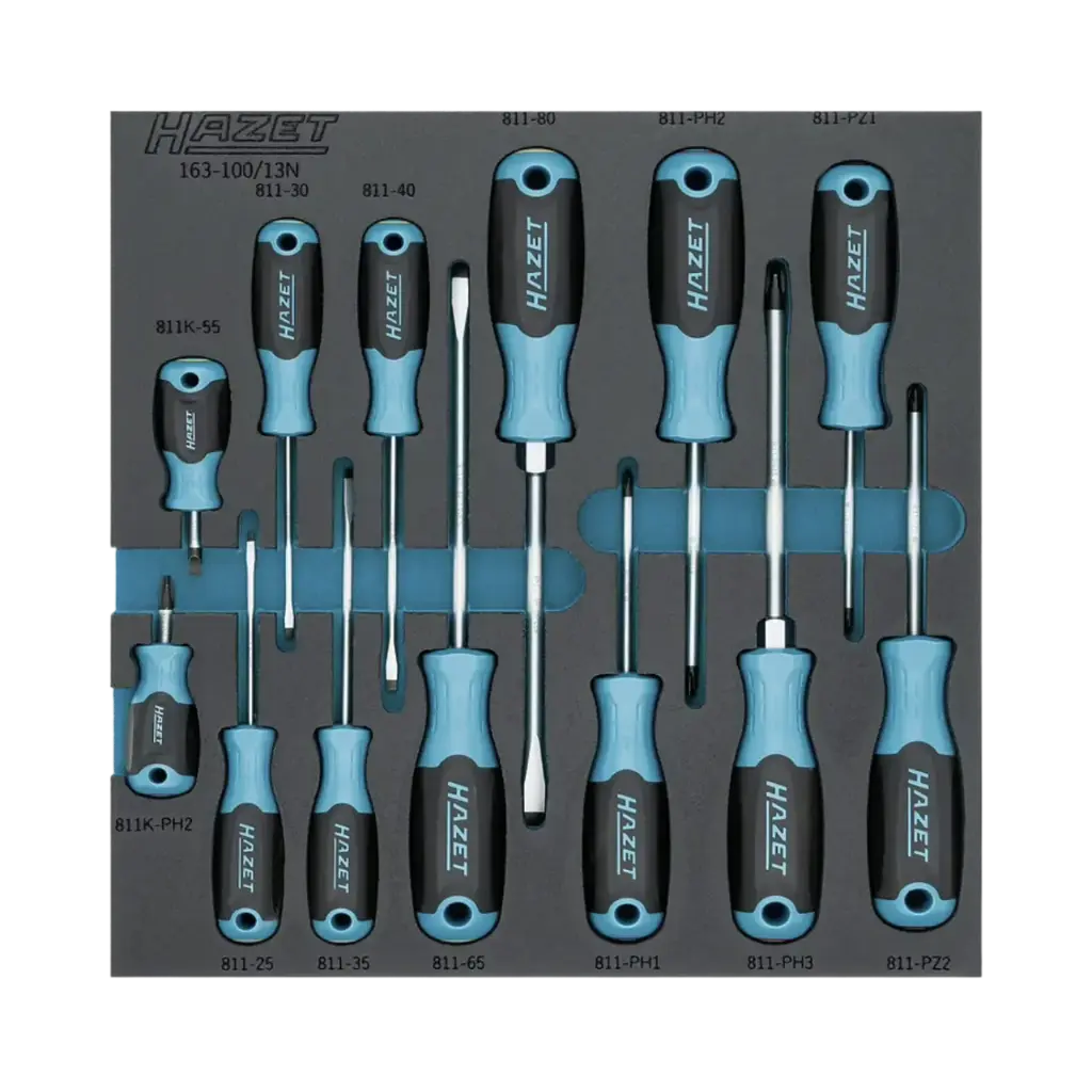 [163-100/13N] Hazet Screwdriver Set 2/3, 13-Pieces, 0.4 x 2.5-1.2 x 8 ∙ PH1-PH3, PZ1-PZ2, Pozidriv Profile PZ, Cross Recess Profile PH, Slot Profile