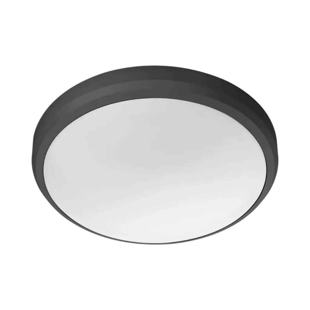 [929003190901] Philips Outdoor luminaires Doris Ceiling Light 6W - Black IP54 Cool