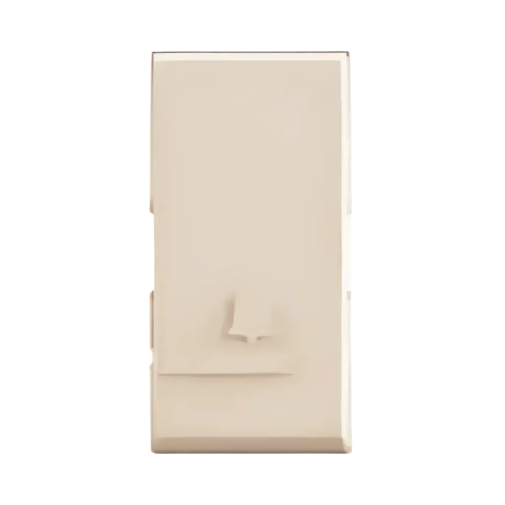 [BE4005LY] Bticino Pushbutton 1P (NO) 10 A 250 Va.c. with Bell Symbol Beige Forma Max
