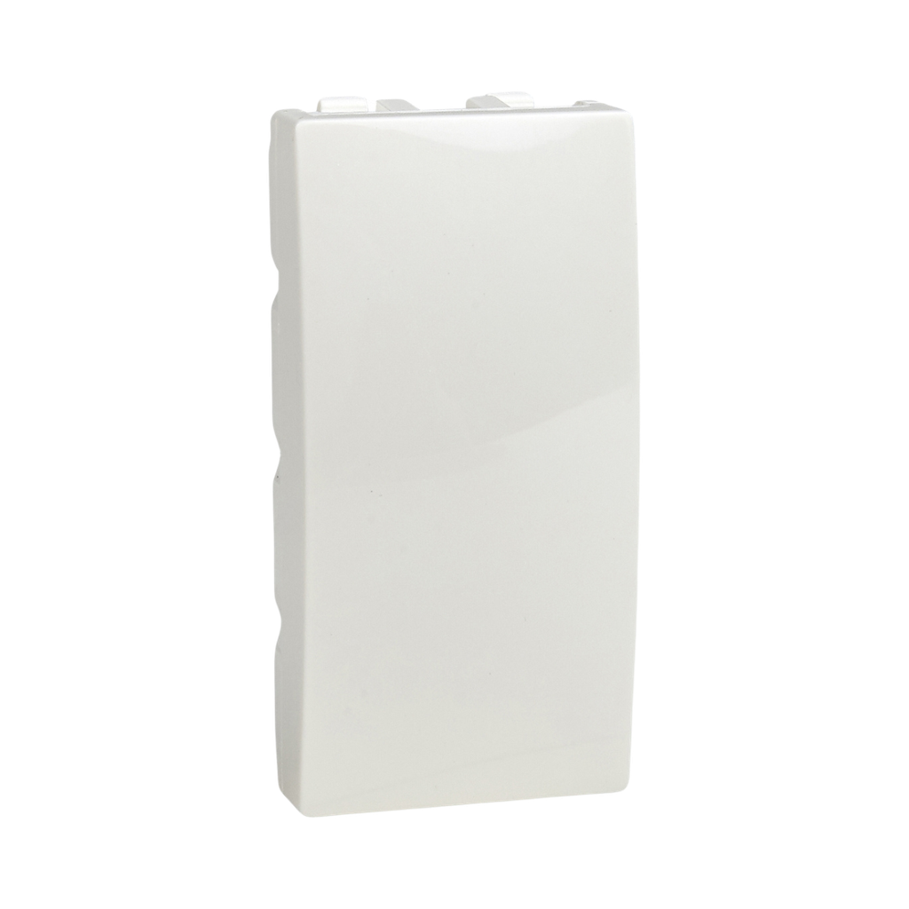 [MGU9.865.25] Schneider Electric blind cover plate for 1 m Ivory Unica